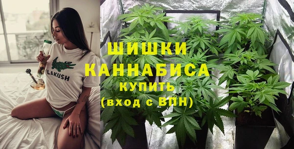mix Богородск
