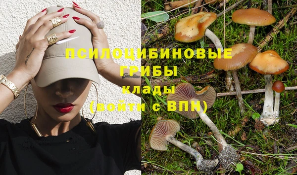 амф Богородицк