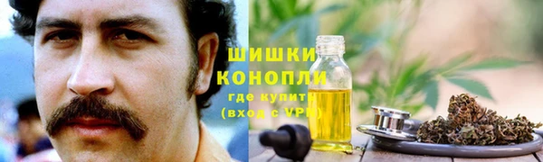 амф Богородицк