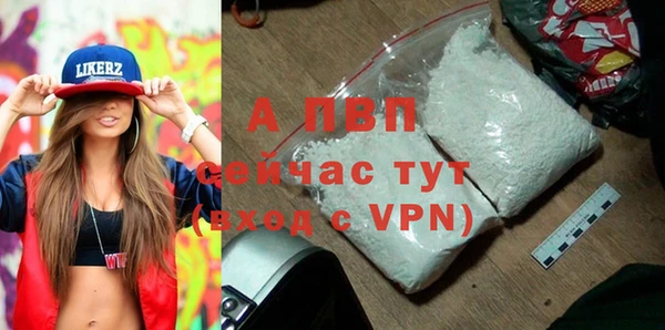 амф Богородицк