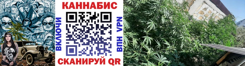 Купить закладки  Бирюч  МАРИХУАНА планчик 